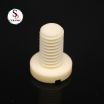 Environmentally Friendly and Heat-resistant 99 Alumina Ceramic Bolt for Machining Injection